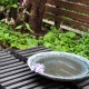 水鉢は季節の演出ができます。